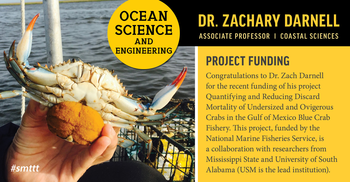 Graphic on Dr. Zachary Darnell's research which seeks to quantify and reduce discard mortality in the Gulf of Mexico blue crab fishery. 