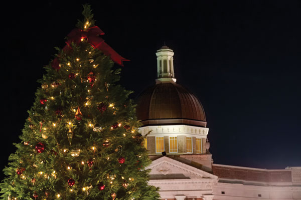 The holiday tree in front of the administration building