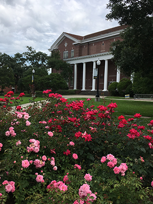 Southern Miss Rose Garden