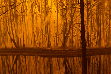 Austrailia Wildfires