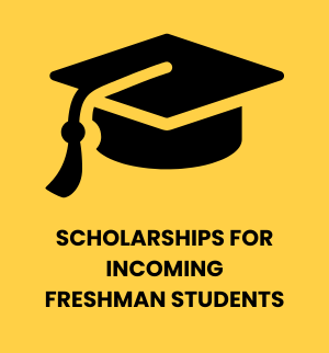 freshman scholarships