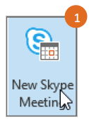 New Skype Meeting