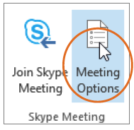 Meeting Options