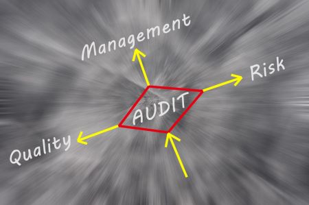 graphic showing the relationship between the audit and quality, management and risk