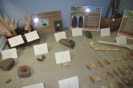 Archaeology display