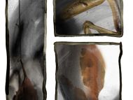 Remnant #2