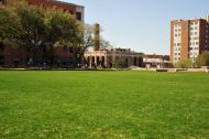 Centennial Lawn