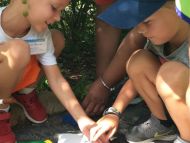 Students in the Day Program search for bugs during an Insect-fari.