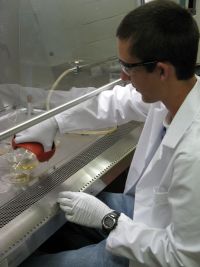 photograph of a SEED student working in a lab