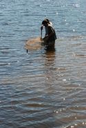 Dr. Carl Qualls and student checking a hoop net trap at Lake Thoreau