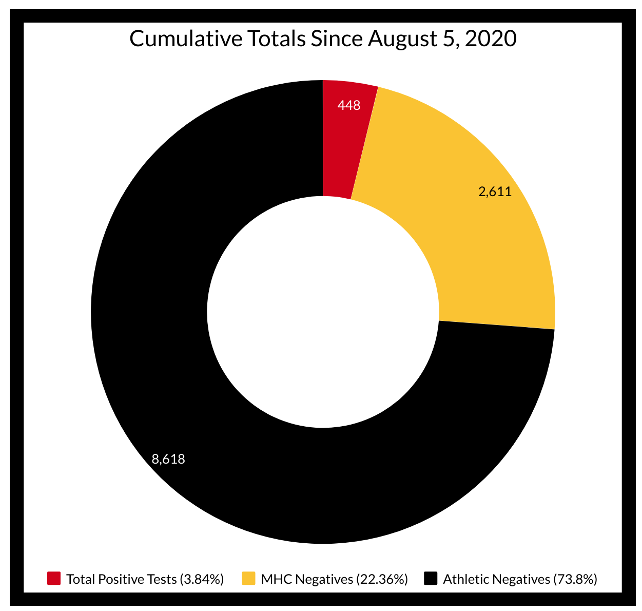 Cumulative Testing Data Since August 5, 2020