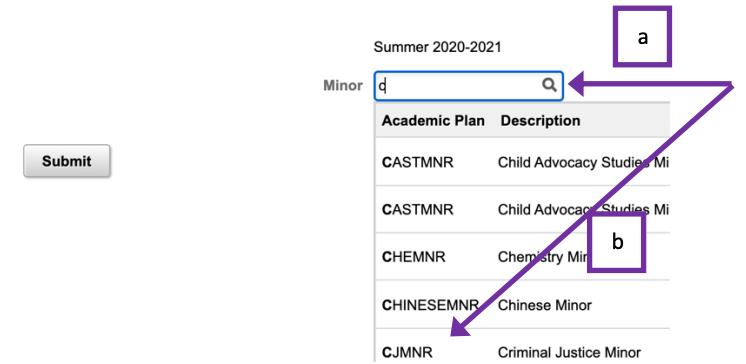 Screenshot of selecting minor and the submit button