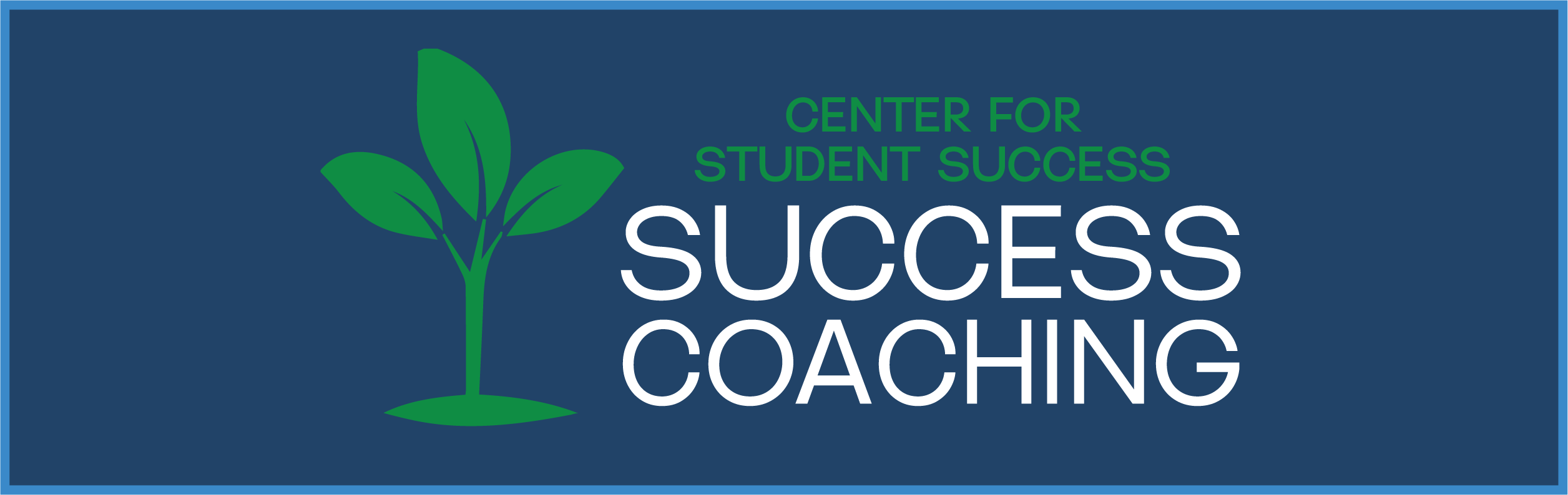 Success Coaching Banner