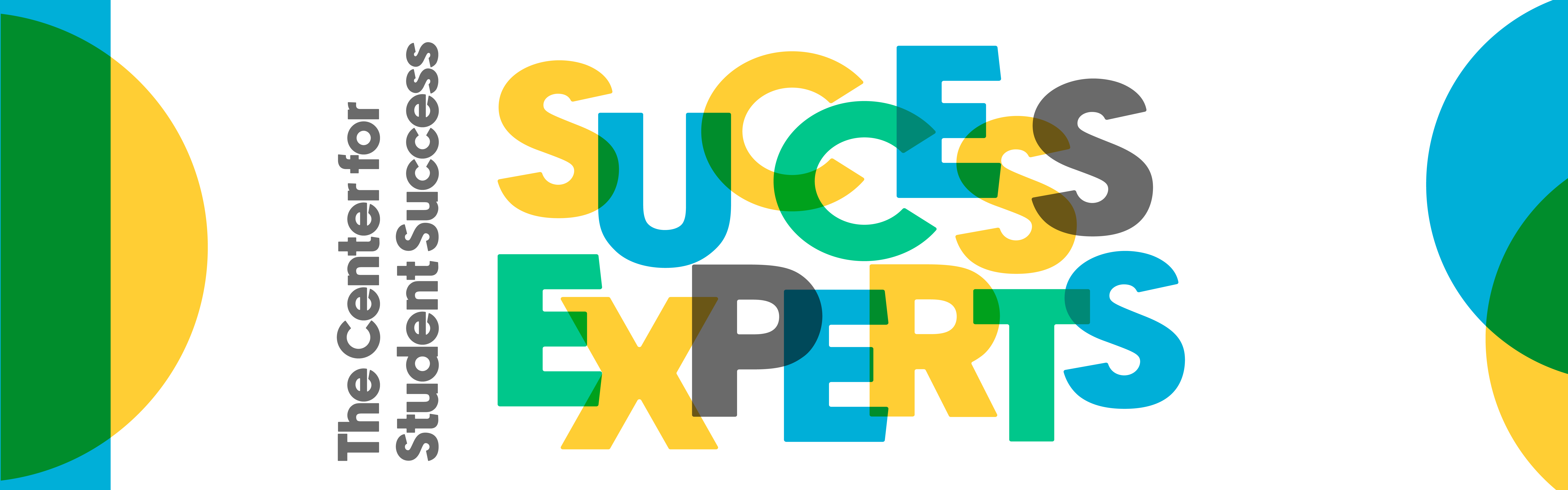 Success Experts