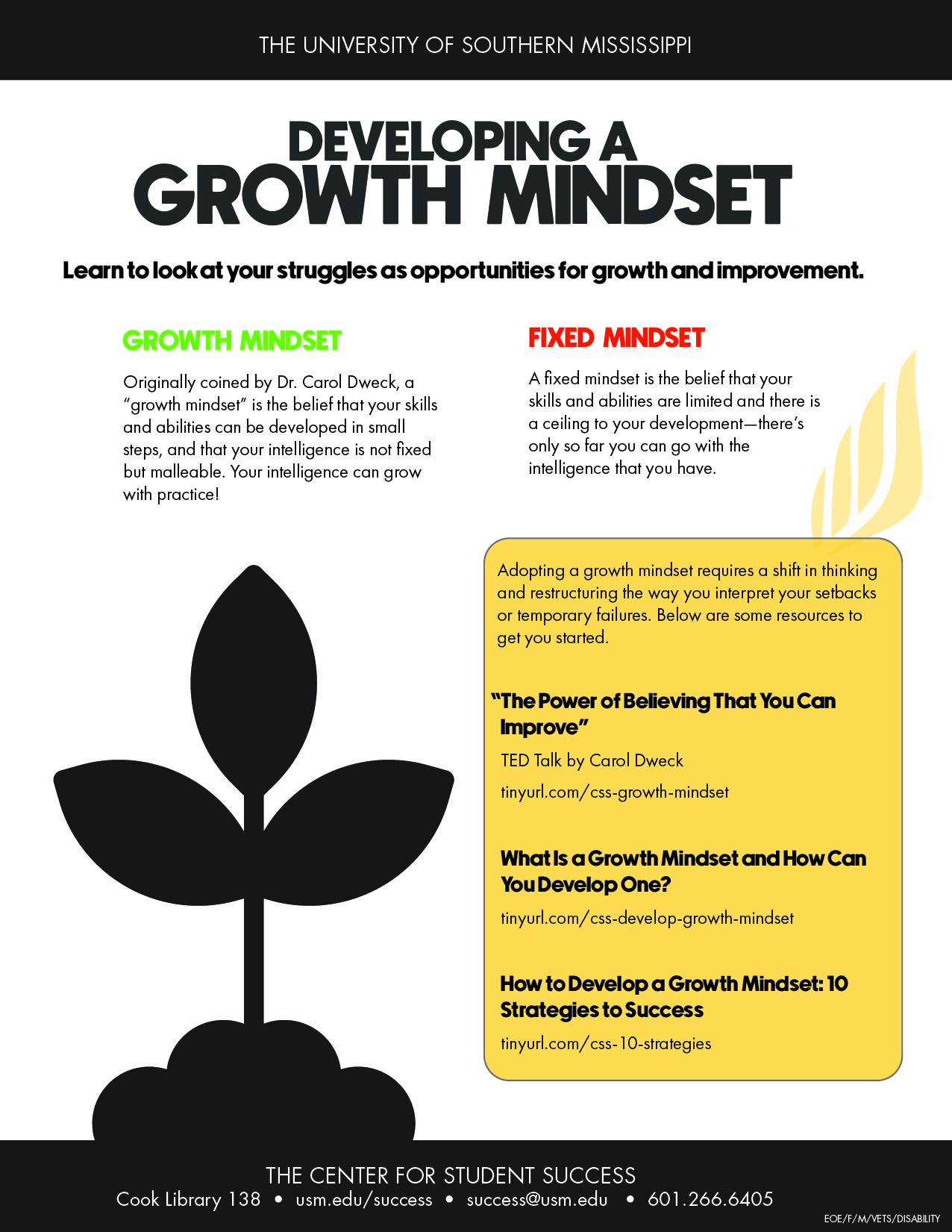 Do You Have a Growth Mindset?