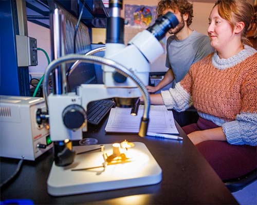 students in a lab