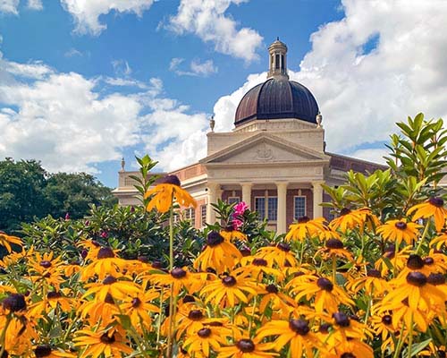 flowers in front of dome