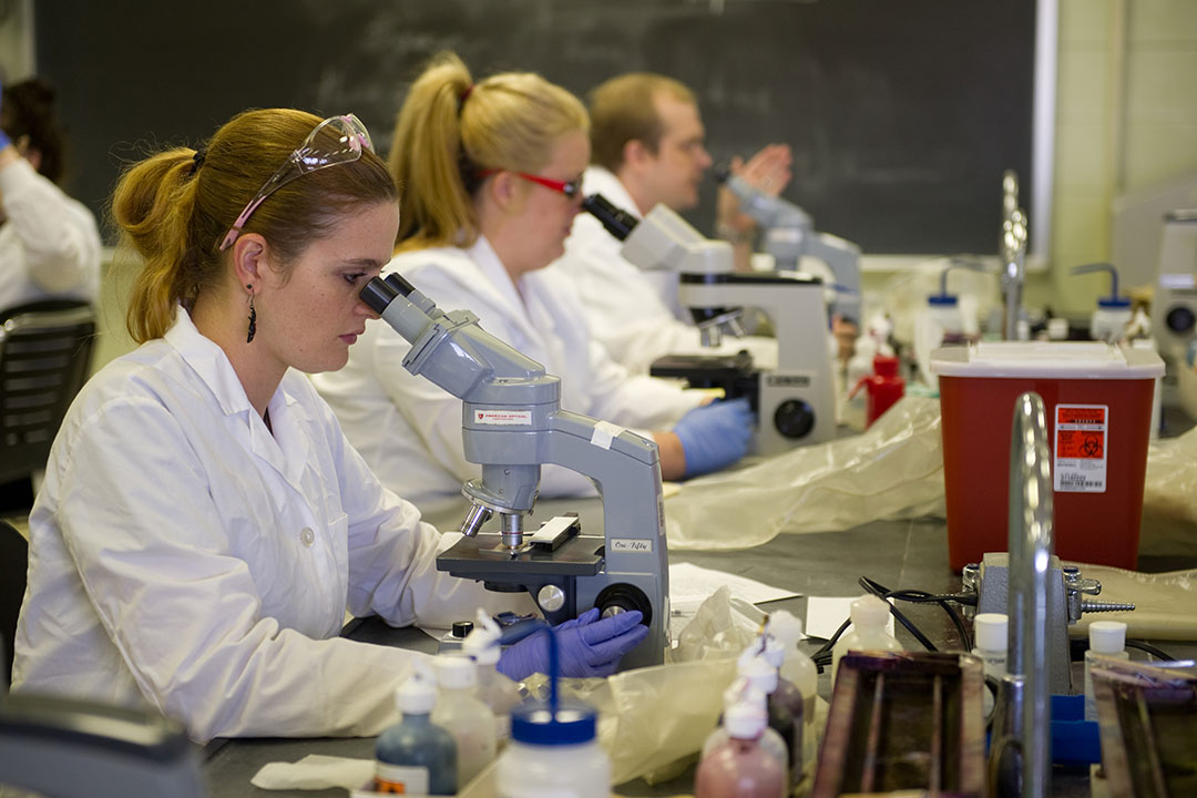 Medical Laboratory Science | Undergraduate Programs | The University of