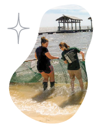 person collecting research