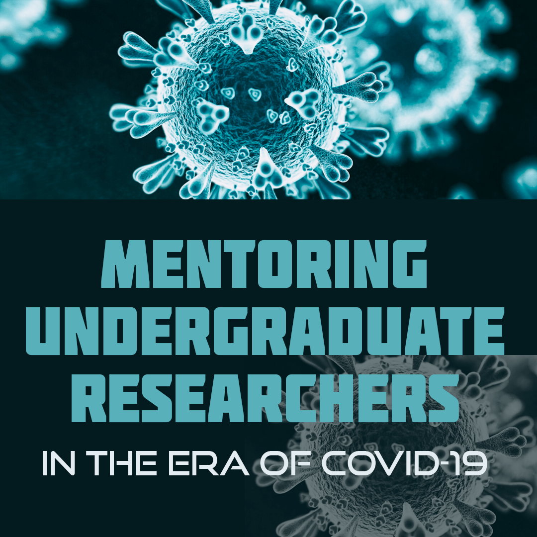Mentoring Undergraduate Researchers