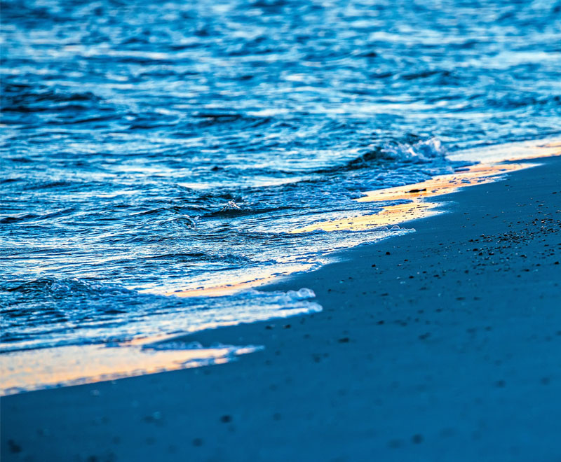 coastal shoreline