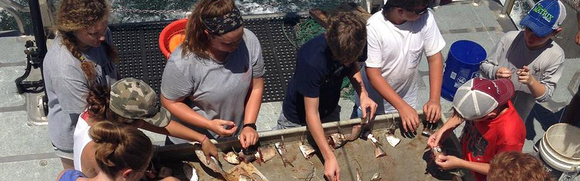 R/V Jim Franks Sharkfest camp